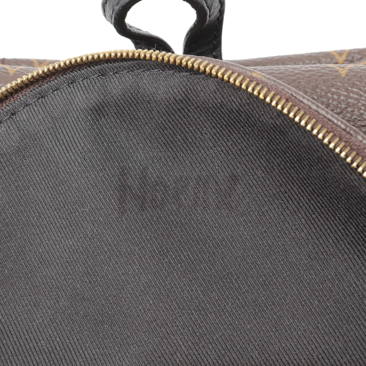 Louis Vuitton Monogram Palm Springs Backpack Mini
