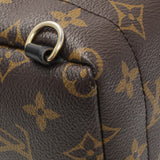 6 items⬆️Louis Vuitton Monogram Palm Springs Mini Handbags Louis Vuitton