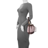 Louis Vuitton Monogram Mini Lin Noelie Bucket Bag Handbags Louis Vuitton