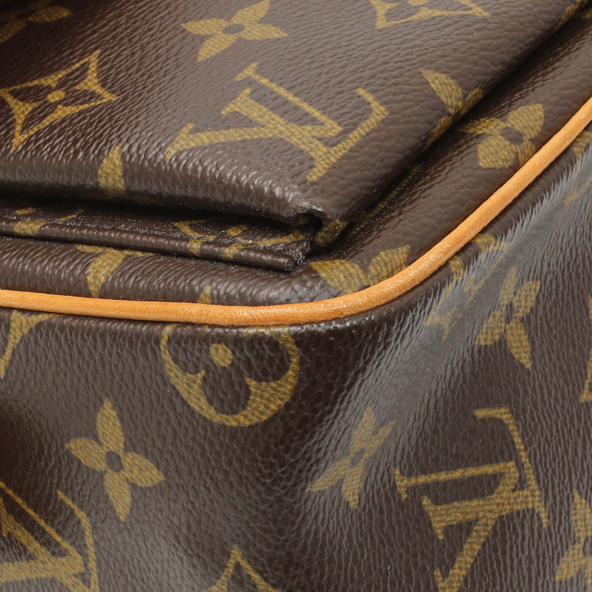 Louis Vuitton Monogram Viva Cite MM