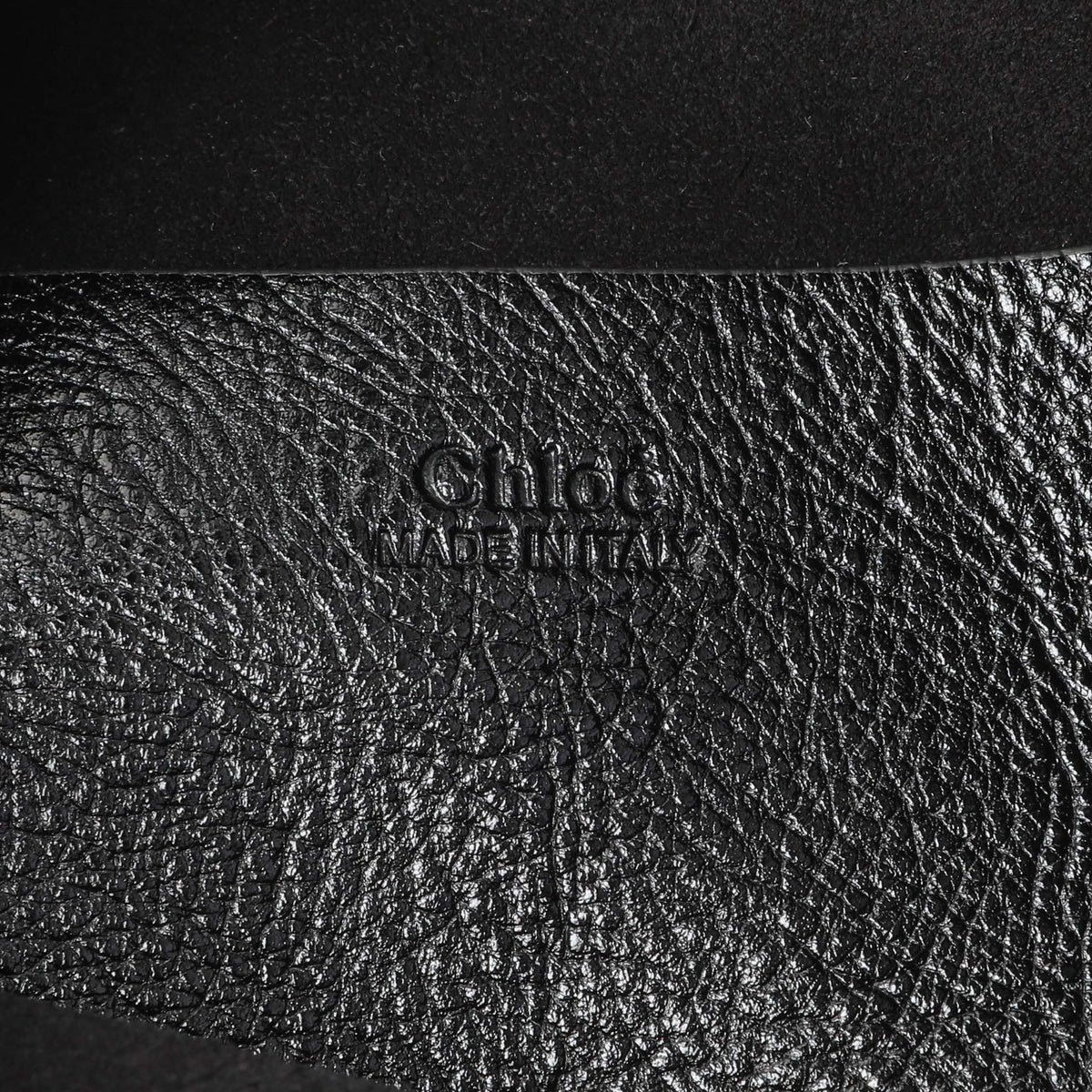 Chloe Shiny Grained Calfskin Small Bracelet Hobo Bag Handbags Chloe