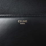 Celine Shiny Calfskin Teen Triomphe Bag Handbags Celine
