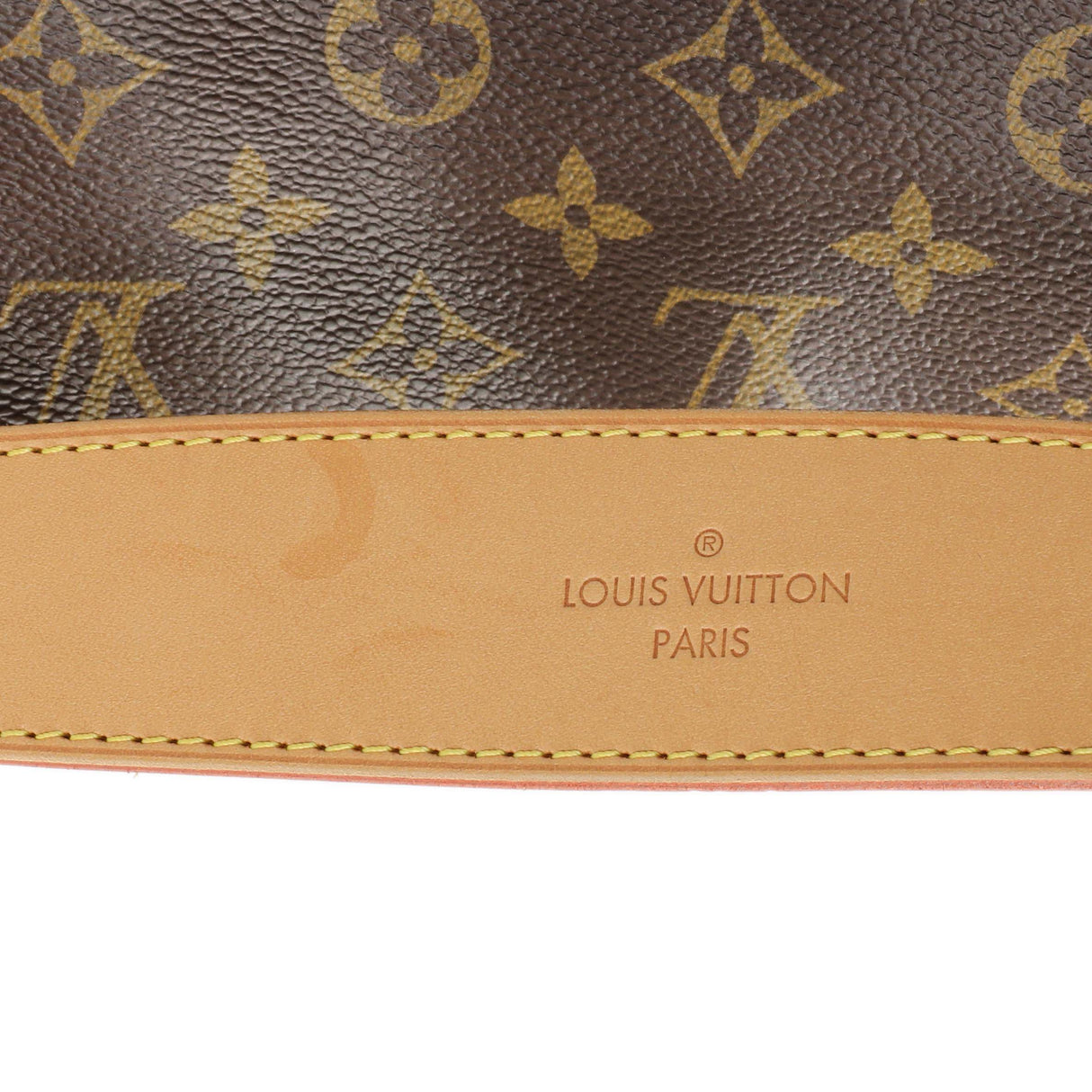 Louis Vuitton Monogram Delightful MM Handbags Louis Vuitton