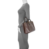 Louis Vuitton Damier Ebene Triana Bag Handbags Louis Vuitton