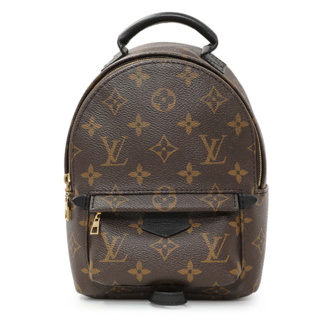 Louis Vuitton Monogram Palm Springs Mini Handbags Louis Vuitton