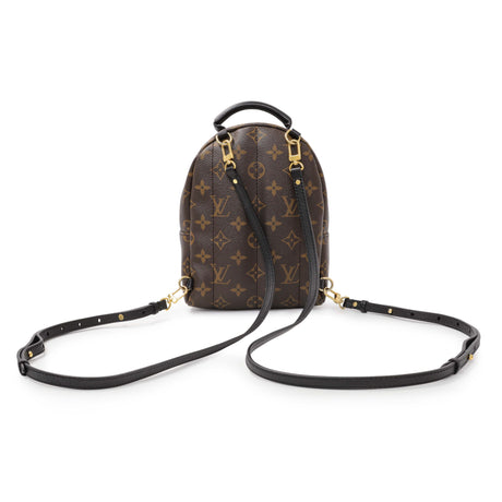 Louis Vuitton Monogram Palm Springs Mini Handbags Louis Vuitton