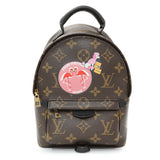 Louis Vuitton Monogram My World Tour Palm Springs Backpack Mini Handbags Louis Vuitton