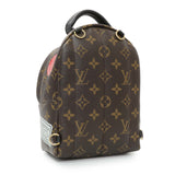Louis Vuitton Monogram My World Tour Palm Springs Backpack Mini Handbags Louis Vuitton