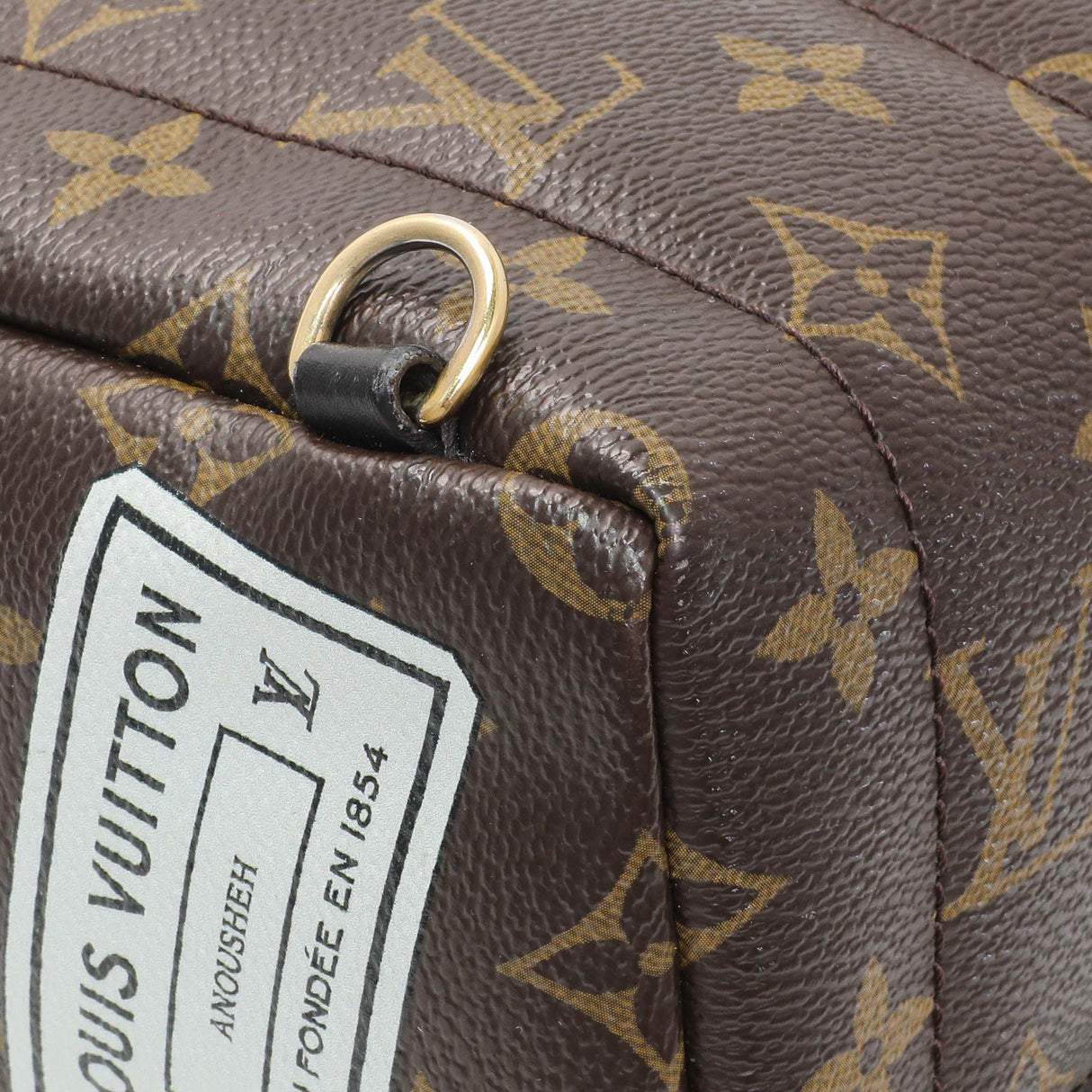 Louis Vuitton Monogram My World Tour Palm Springs Backpack Mini Handbags Louis Vuitton