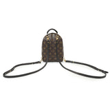 Louis Vuitton Monogram My World Tour Palm Springs Backpack Mini Handbags Louis Vuitton