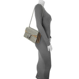 Gucci GG Supreme Monogram Small Dionysus Shoulder Bag Handbags Gucci