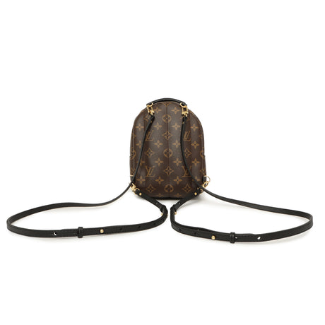 Louis Vuitton Monogram Palm Springs Backpack Mini