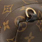 Louis Vuitton Monogram Palm Springs Backpack Mini