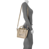 Celine Dune Drummed Calfskin Nano Luggage Handbags Celine