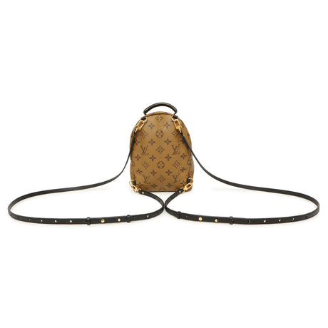 Louis Vuitton Monogram Reverse Palm Springs Backpack Mini