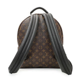 Louis Vuitton Monogram Palm Springs MM Backpack Handbags Louis Vuitton