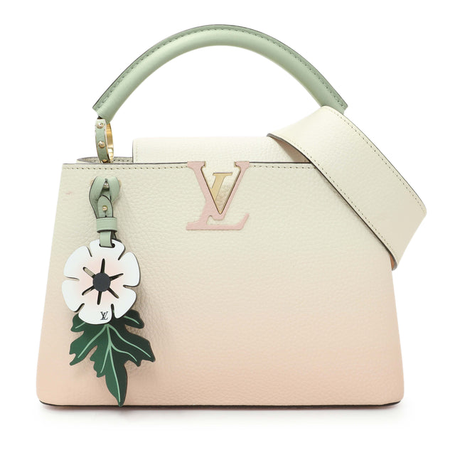 Louis Vuitton Taurillon Capucines BB Handbags Louis Vuitton