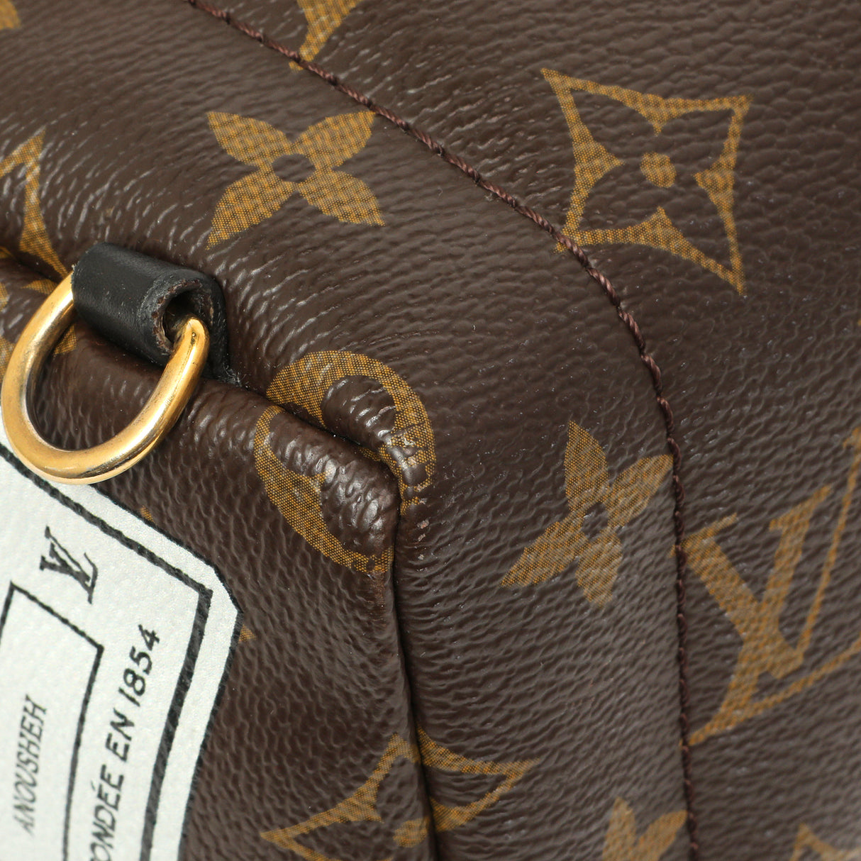 Louis Vuitton Monogram My World Tour Palm Springs Backpack Mini