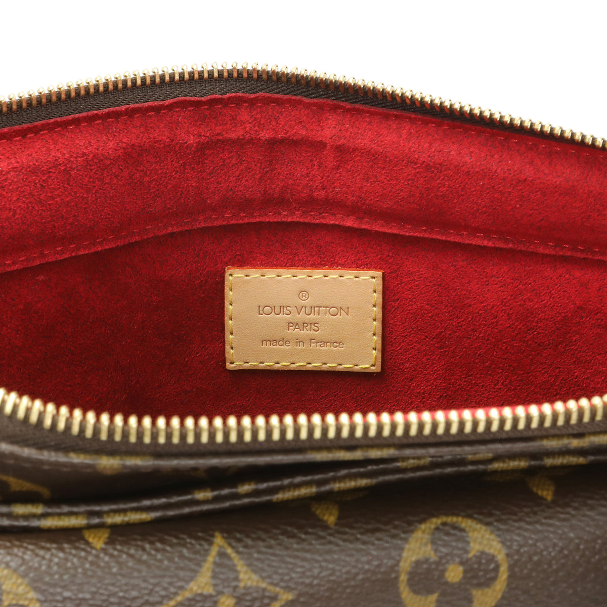 Louis Vuitton Monogram Viva Cite GM
