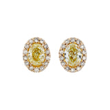18K Rose Gold 1.34 Carat Fancy Yellow & Brown Diamond Earrings Fine Jewellery Modaselle