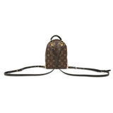 Louis Vuitton Monogram My World Tour Palm Springs Backpack Mini