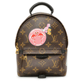 Louis Vuitton Monogram My World Tour Palm Springs Backpack Mini