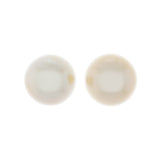 14K White Gold South Sea Pearl Stud Earrings Fine Jewellery Modaselle