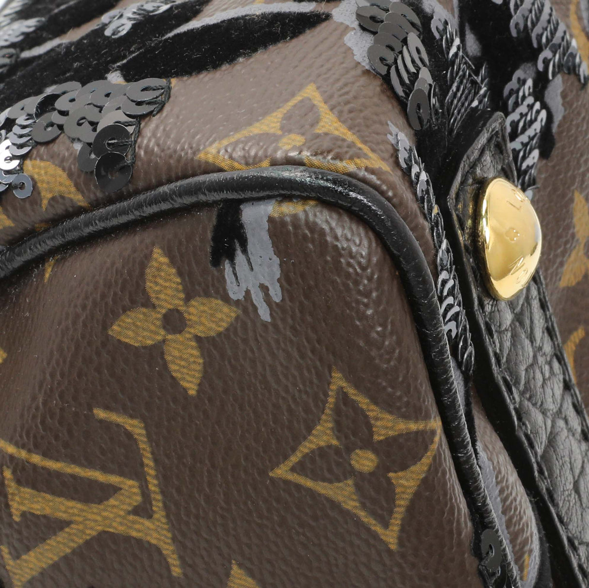 Louis Vuitton Monogram Fleur De Jais Carrousel Handbags Louis Vuitton