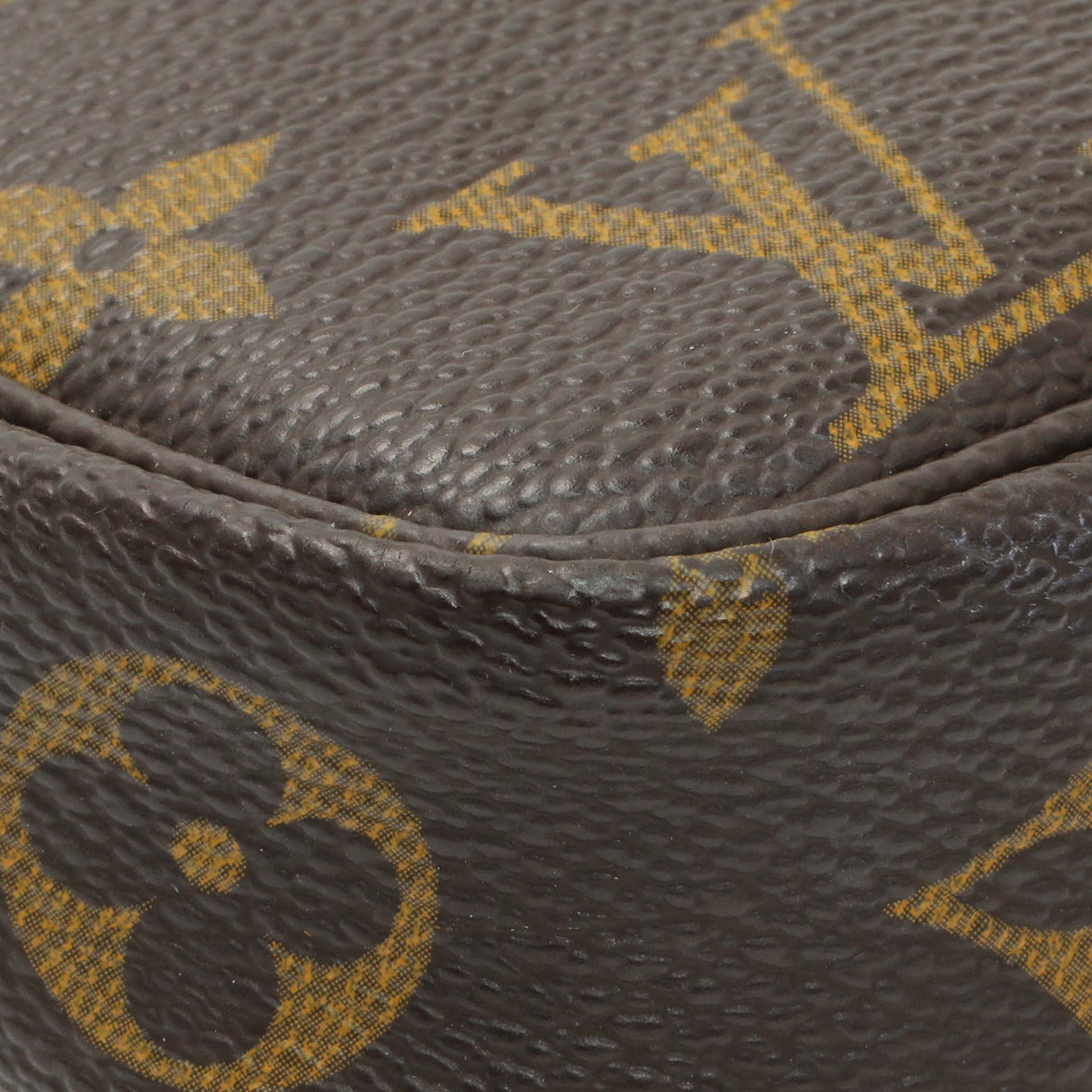 Louis Vuitton Monogram Pochette Accessories