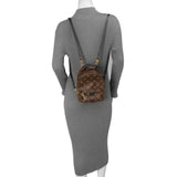 Louis Vuitton Monogram Palm Springs Backpack Mini Handbags Louis Vuitton