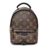 Louis Vuitton Monogram Palm Springs Backpack Mini Handbags Louis Vuitton