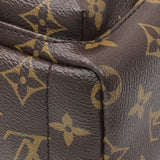 Louis Vuitton Monogram Palm Springs Backpack Mini Handbags Louis Vuitton