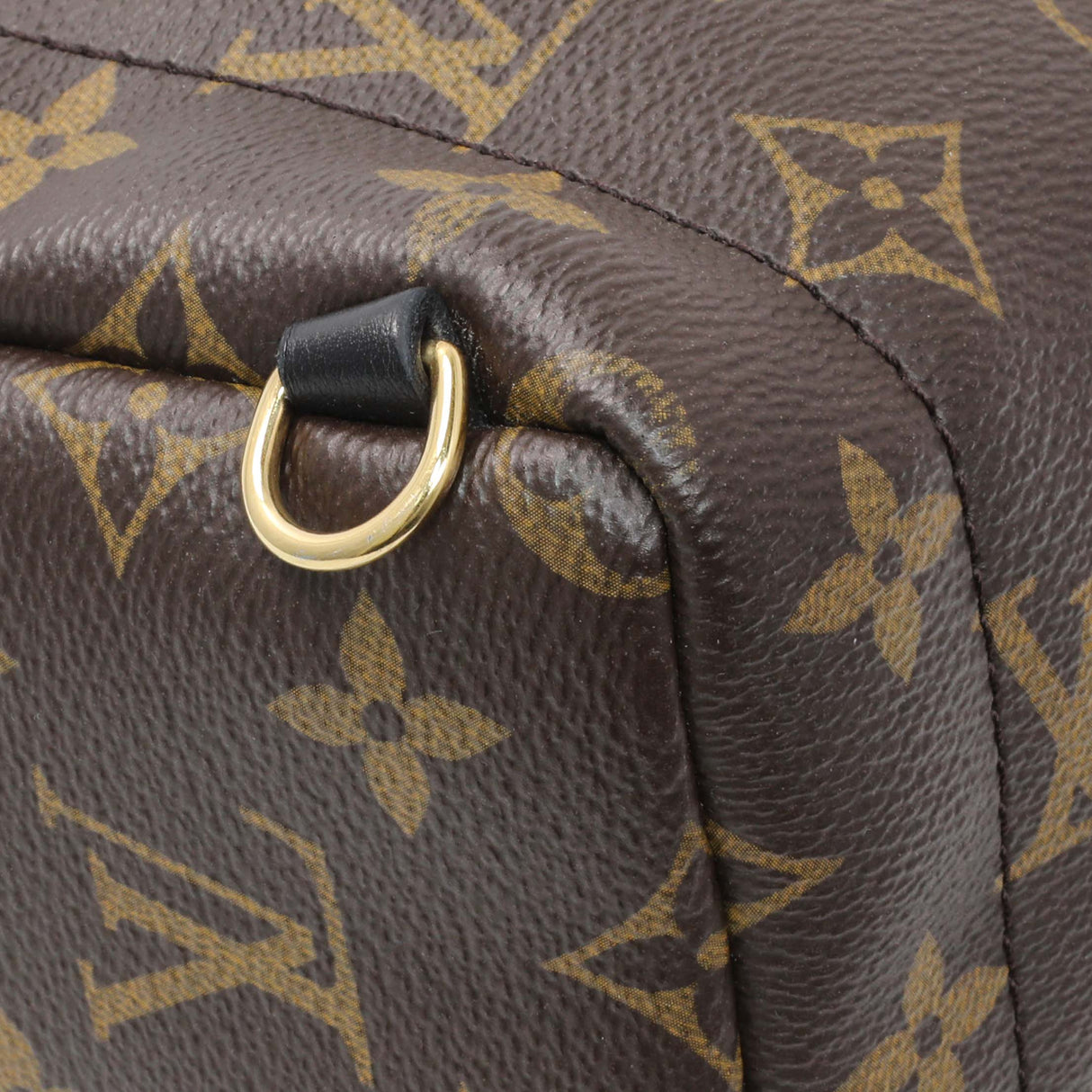 Louis Vuitton Monogram Palm Springs Backpack Mini Handbags Louis Vuitton