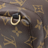 Louis Vuitton Monogram Palm Springs Backpack Mini Handbags Louis Vuitton