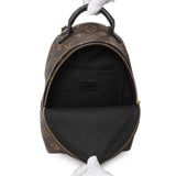 Louis Vuitton Monogram Palm Springs Backpack Mini Handbags Louis Vuitton