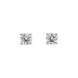 18K White Gold 0.25 Carat Diamond Stud Earrings Fine Jewellery Modaselle