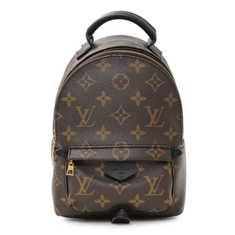 Louis Vuitton Monogram Palm Springs Backpack Mini Handbags Louis Vuitton