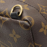 Louis Vuitton Monogram Palm Springs Backpack Mini Handbags Louis Vuitton