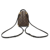 Louis Vuitton Monogram Palm Springs Backpack Mini Handbags Louis Vuitton