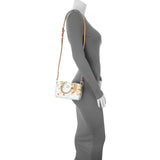 Louis Vuitton X Takashi Murakami Monogram Multicolor Nano Speedy Handbags Louis Vuitton