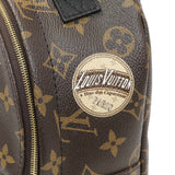 Louis Vuitton Monogram Palm Springs Backpack Mini Handbags Louis Vuitton