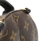 Louis Vuitton Monogram Palm Springs Backpack Mini Handbags Louis Vuitton