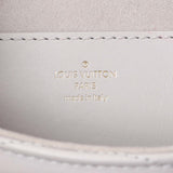 Louis Vuitton Brume Calfskin New Wave Multi Pochette Handbags Louis Vuitton