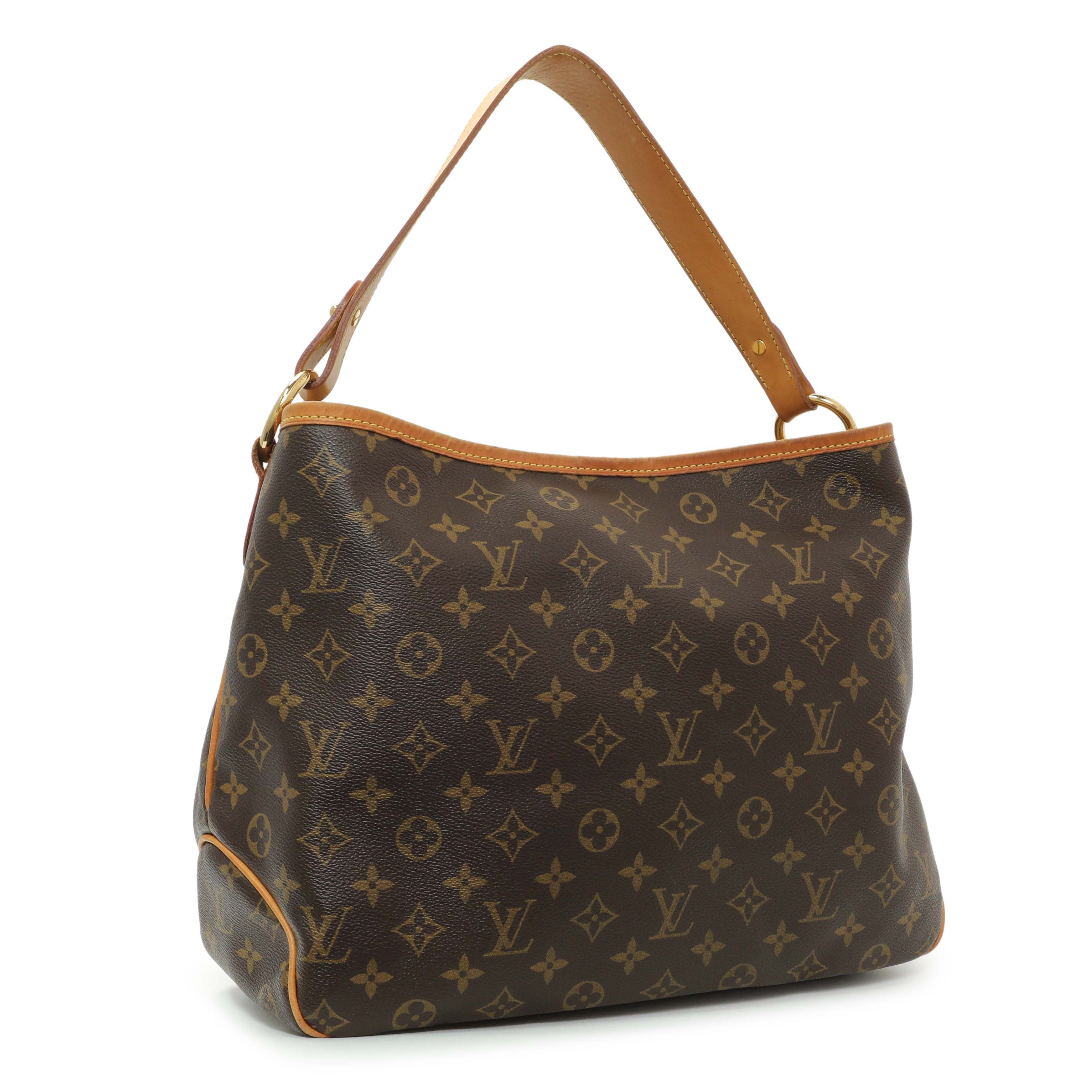 Louis Vuitton Monogram Delightful PM – Modaselle