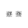18K White Gold 1.24 Carat Diamond Stud Earrings Fine Jewellery Modaselle