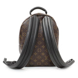 Louis Vuitton Monogram Palm Springs Backpack PM Handbags Louis Vuitton
