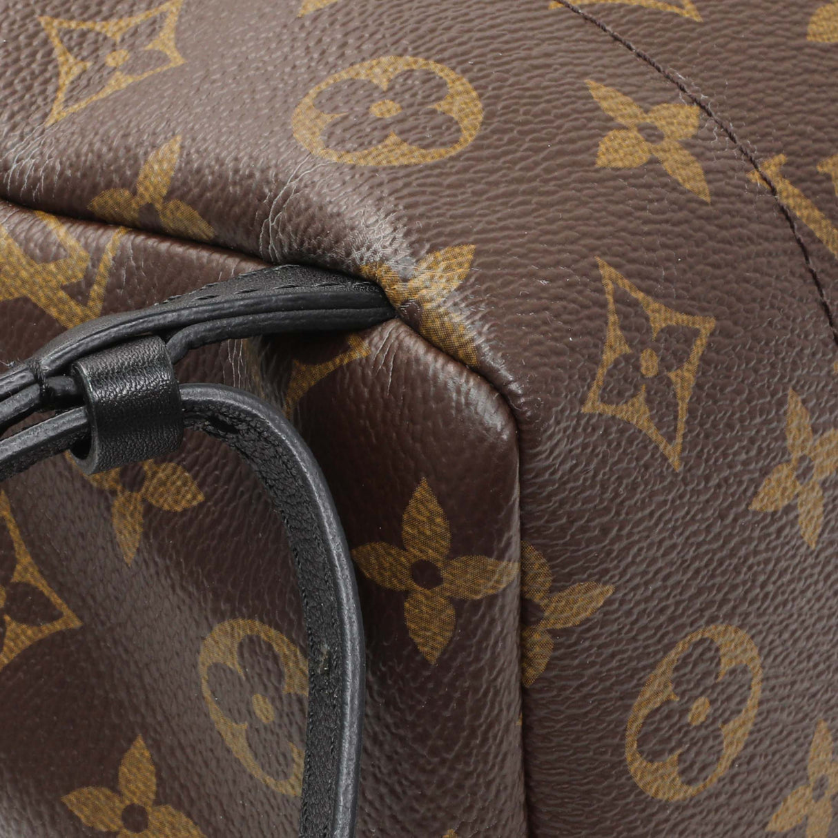 Louis Vuitton Monogram Palm Springs Backpack PM Handbags Louis Vuitton
