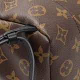 Louis Vuitton Monogram Palm Springs Backpack PM Handbags Louis Vuitton