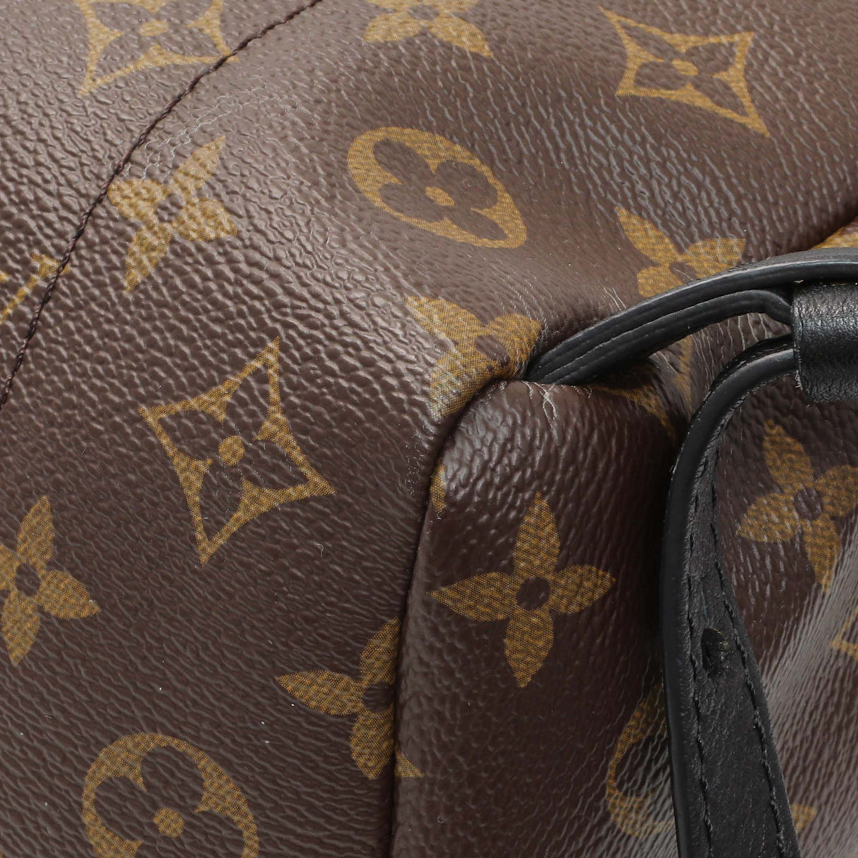 Louis Vuitton Monogram Palm Springs Backpack PM Handbags Louis Vuitton