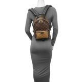 Louis Vuitton Monogram Palm Springs Backpack PM Handbags Louis Vuitton
